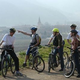 [Translate to Gruppenreisen in Frankreich:] Radreise, Vignoble Alsascien, Fahrradfahrer, Erlebnisreise, Frankreich, Elsass
