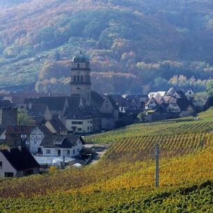 [Translate to Gruppenreisen in Frankreich:] Kaysersberg, Radeln, entlang der Weinstraße