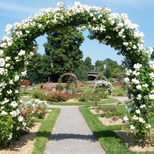 [Translate to Gruppenreisen in Frankreich:] Blumen, Gartenreise, Saverne, Vereine