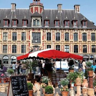 [Translate to Gruppenreisen in Frankreich:] Norfrankreich, Erlebnisreise, Gärten, Blumen