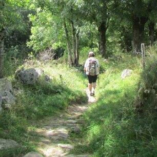 [Translate to Gruppenreisen in Frankreich:] Wanderreise Frankreich, Cevennen, Stevenson