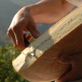 [Translate to Gruppenreisen in Frankreich:] Käse, Vereinsreisen, Comté, Wandern